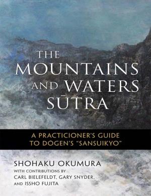 The Mountains and Waters Sutra