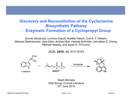 Discovery and Reconstitution of the Cycloclavine Biosynthetic Pathway - Enzymatic Formation of a Cyclopropyl Group