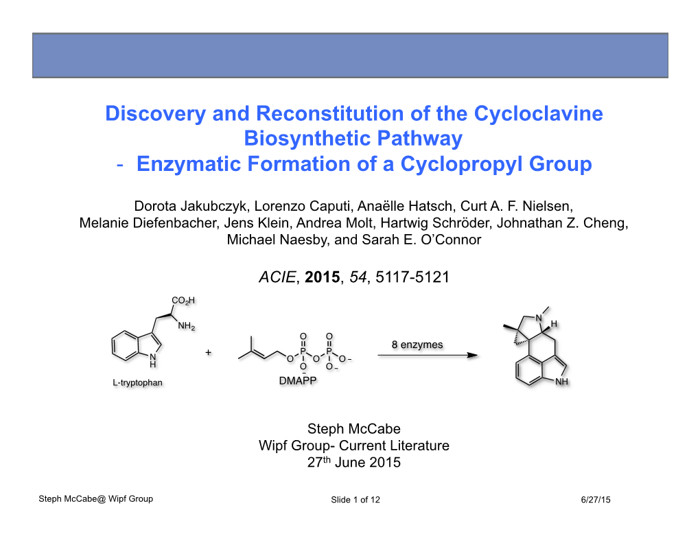 Discovery and Reconstitution of the Cycloclavine Biosynthetic Pathway - Enzymatic Formation of a Cyclopropyl Group