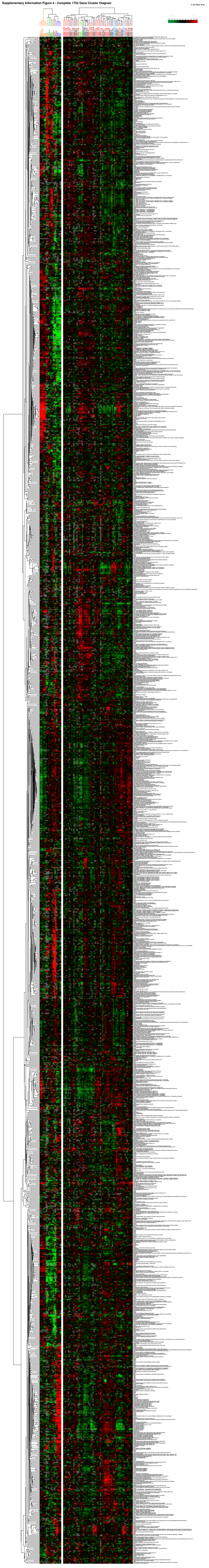Supplementary Information Figure 4 - Complete 1753 Gene Cluster Diagram C