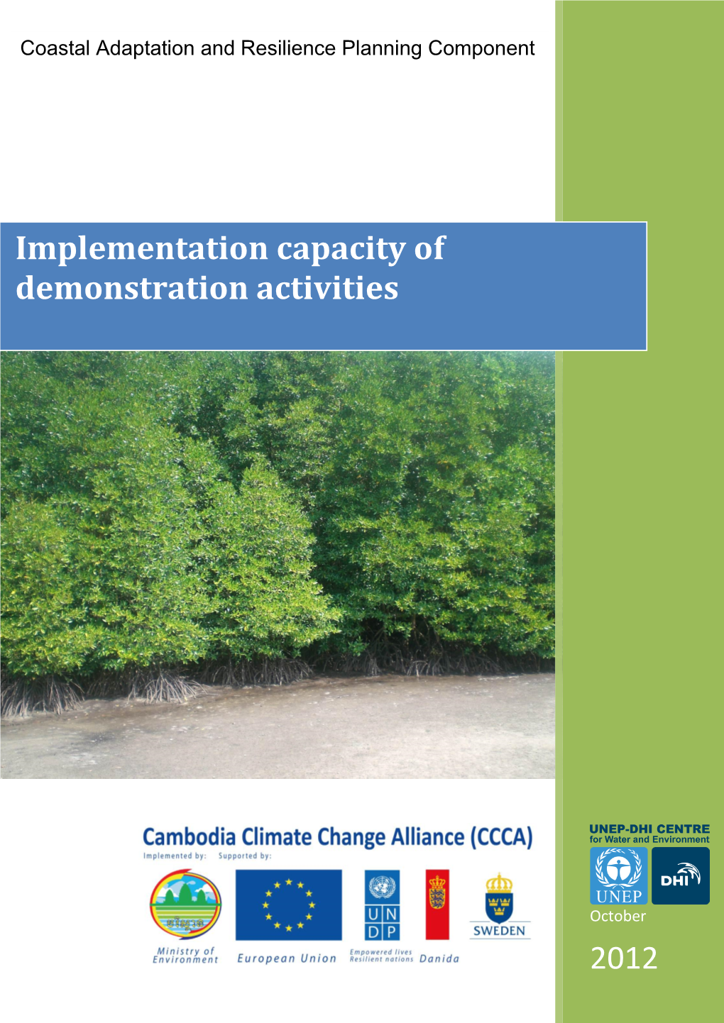 2012 Implementation Capacity of Demonstration Activities