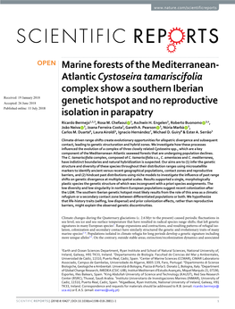 Atlantic Cystoseira Tamariscifolia Complex Show a Southern Iberian