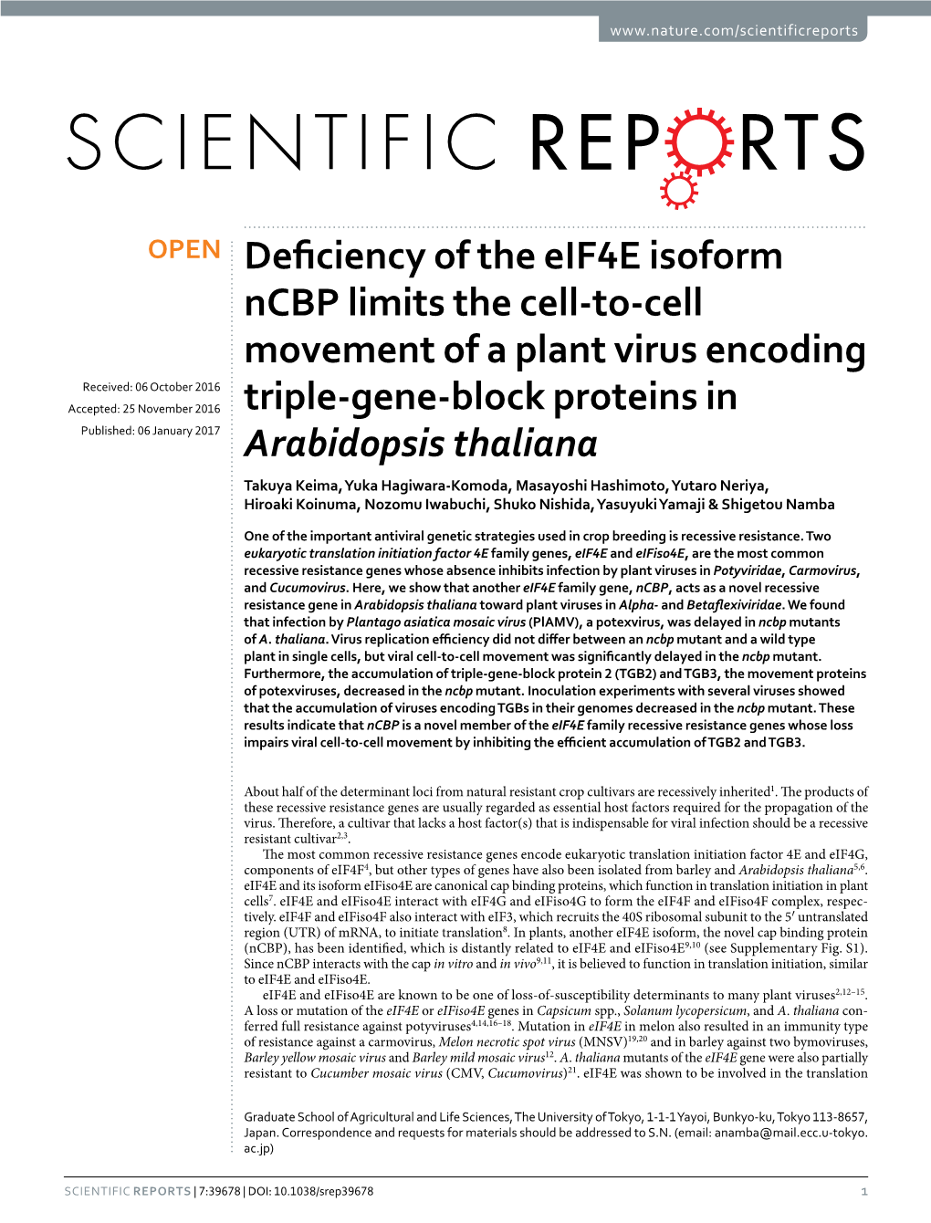 Deficiency of the Eif4e Isoform Ncbp Limits the Cell-To-Cell Movement of A