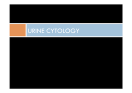 Paris Urine Cytology Presentation.Pptx