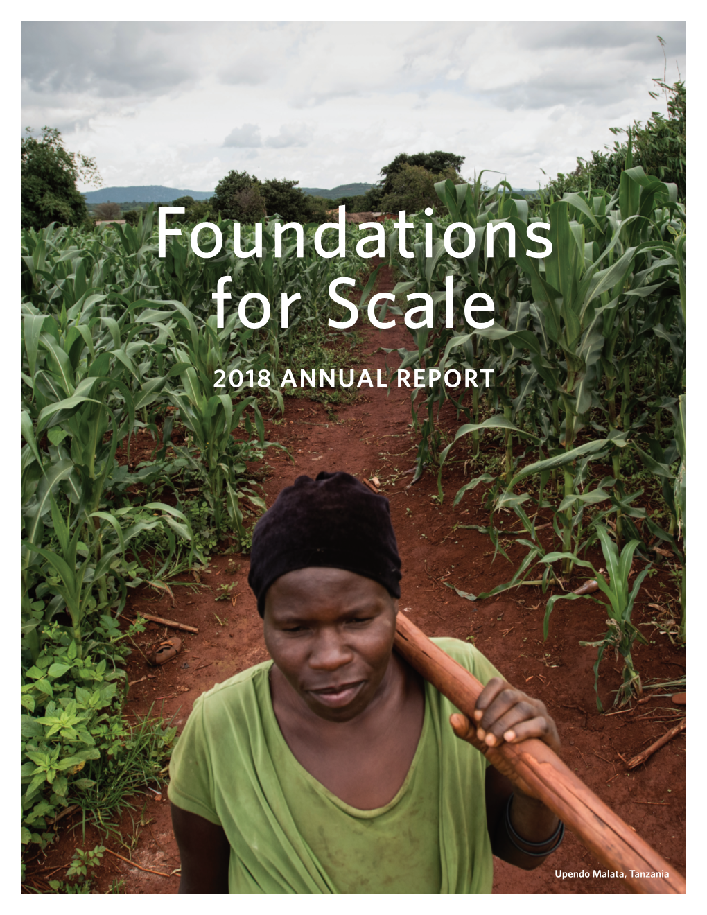 Foundations for Scale 2018 ANNUAL REPORT