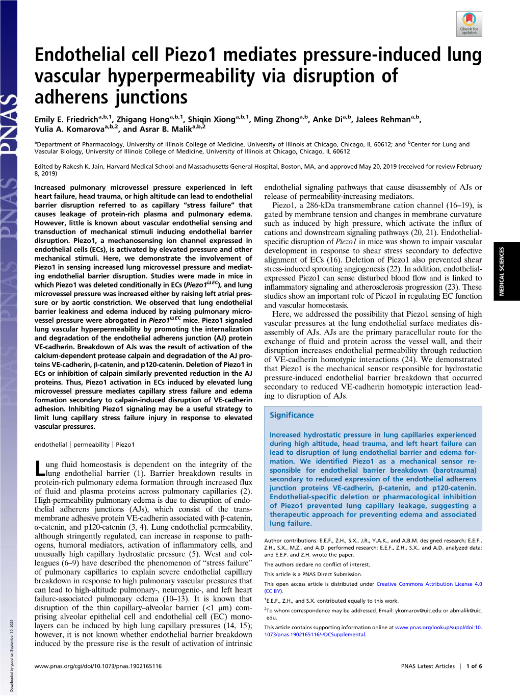 Endothelial Cell Piezo1 Mediates Pressure-Induced Lung Vascular Hyperpermeability Via Disruption of Adherens Junctions