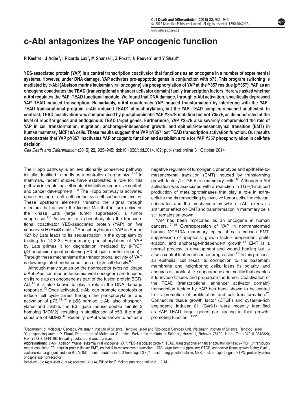 C-Abl Antagonizes the YAP Oncogenic Function