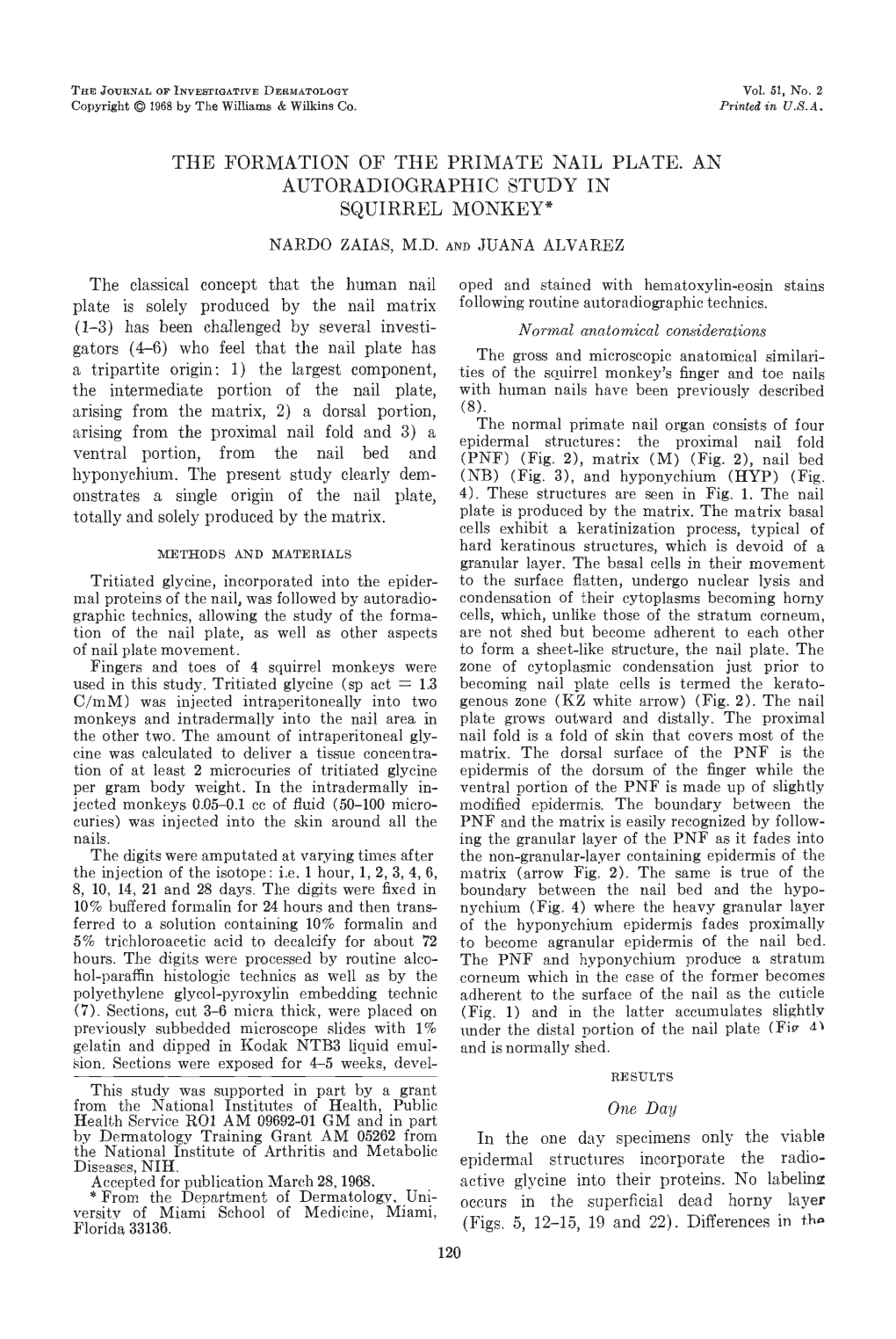 The Formation of the Primate Nail Plate. an Autoradiographic Study in Squirrel Monkey* Nardo Zajas, M.D