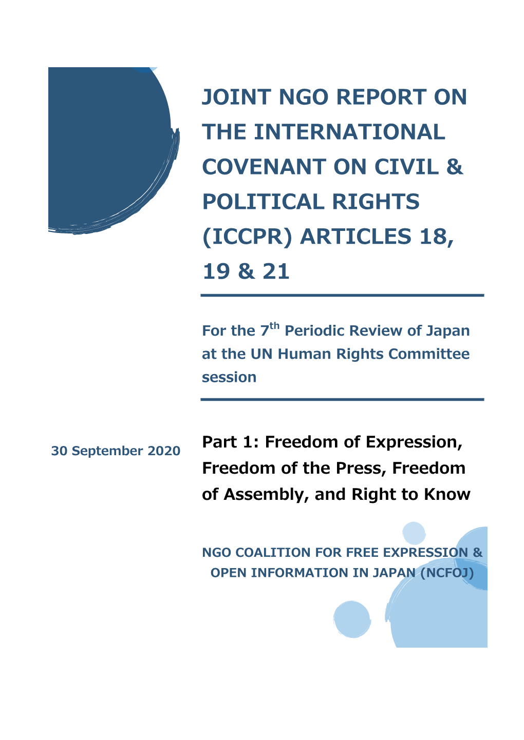Joint Ngo Report on the International Covenant on Civil Political Rights