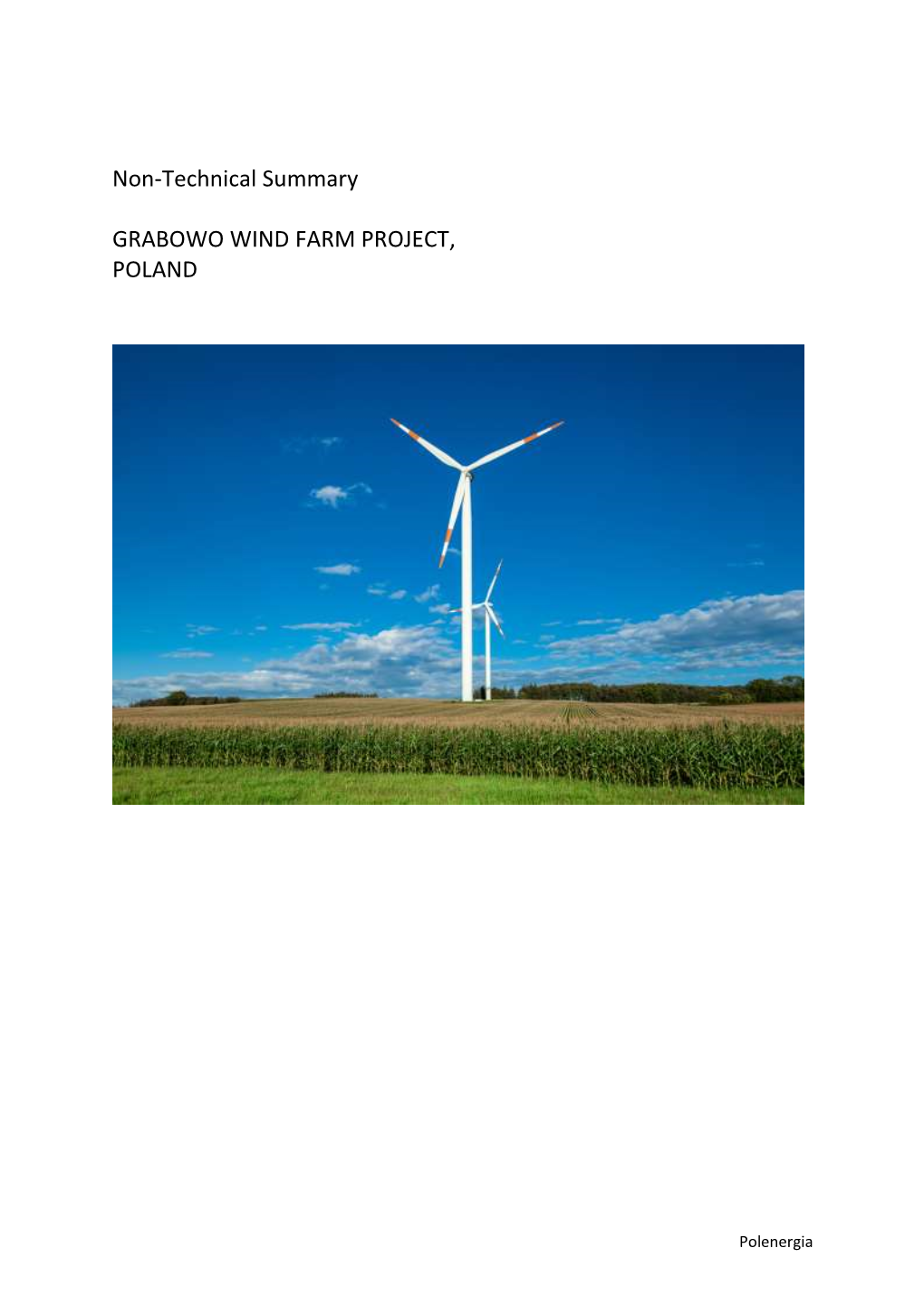 Non-Technical Summary GRABOWO WIND FARM PROJECT, POLAND