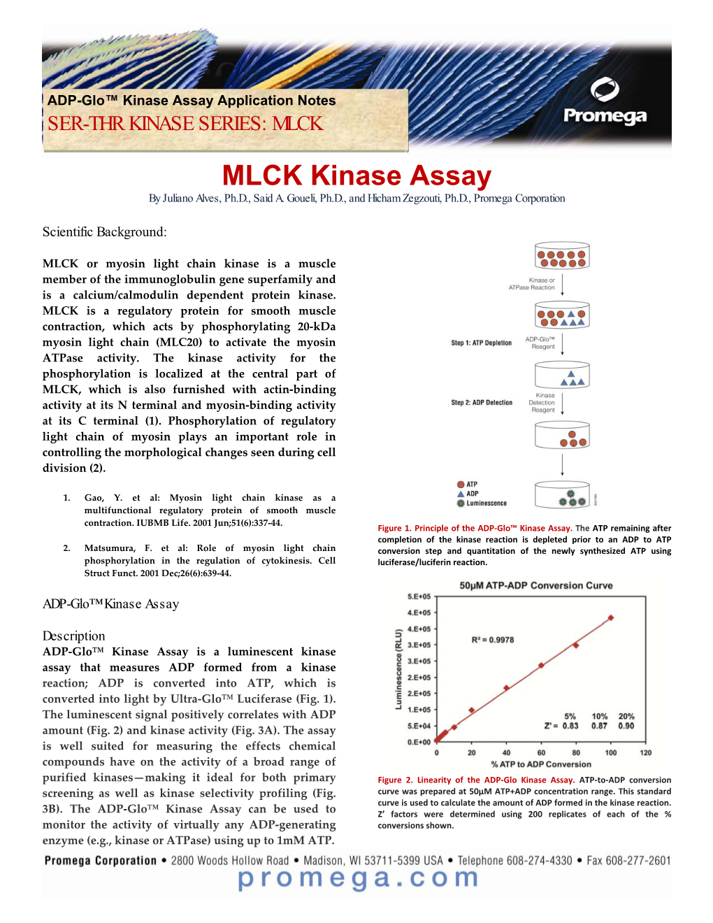 MLCK Kinase Assay by Juliano Alves, Ph.D., Said A