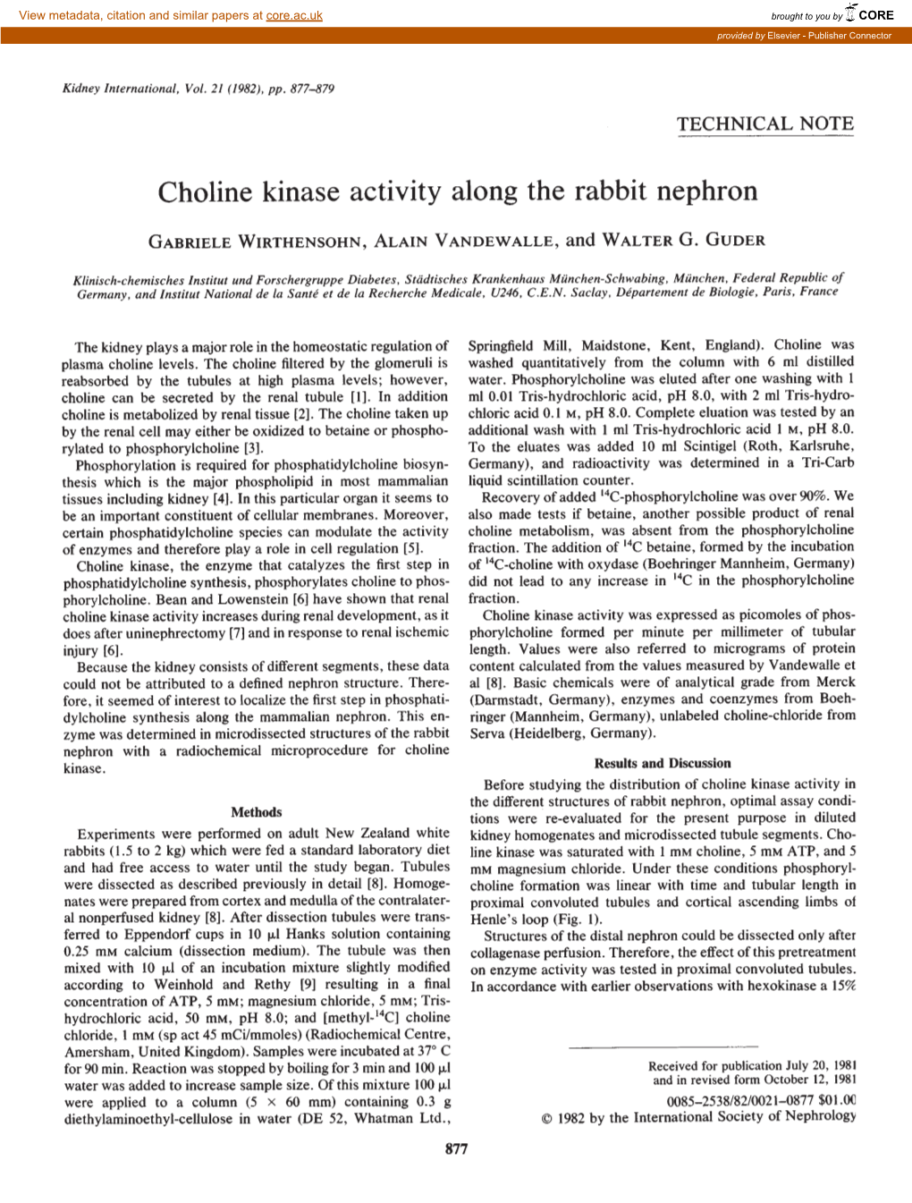 Choline Kinase Activity Along the Rabbit Nephron