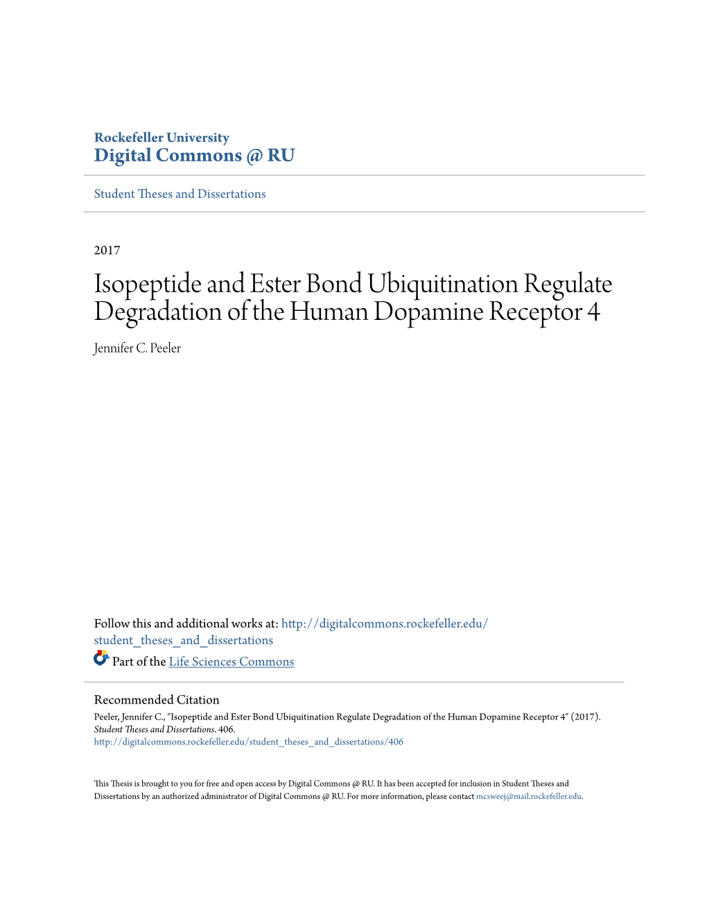 Isopeptide and Ester Bond Ubiquitination Regulate Degradation of the Human Dopamine Receptor 4 Jennifer C