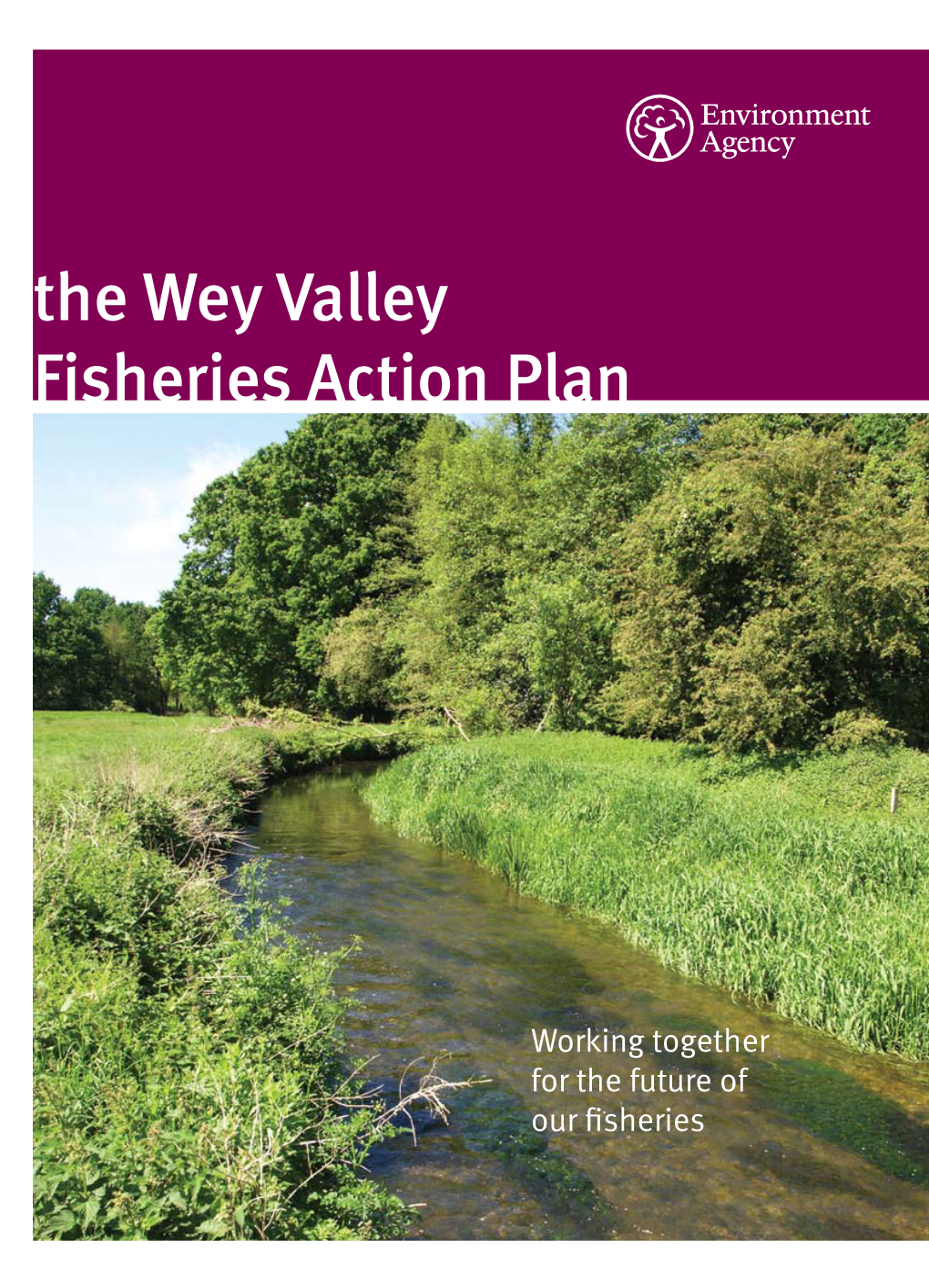 The Wey Valley Fisheries Action Plan