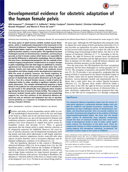 Developmental Evidence for Obstetric Adaptation of the Human Female Pelvis