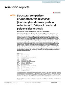 Structural Comparison of Acinetobacter Baumannii Β-Ketoacyl