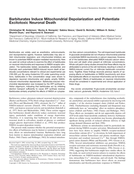 Barbiturates Induce Mitochondrial Depolarization and Potentiate Excitotoxic Neuronal Death