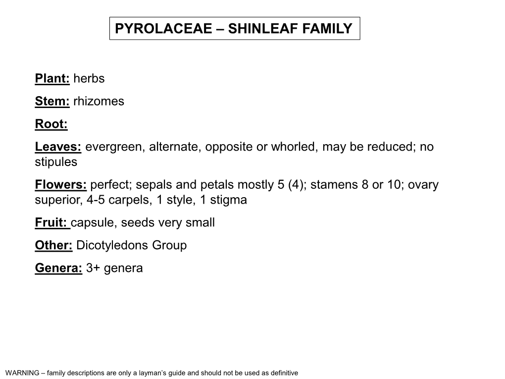 Pyrolaceae – Shinleaf Family