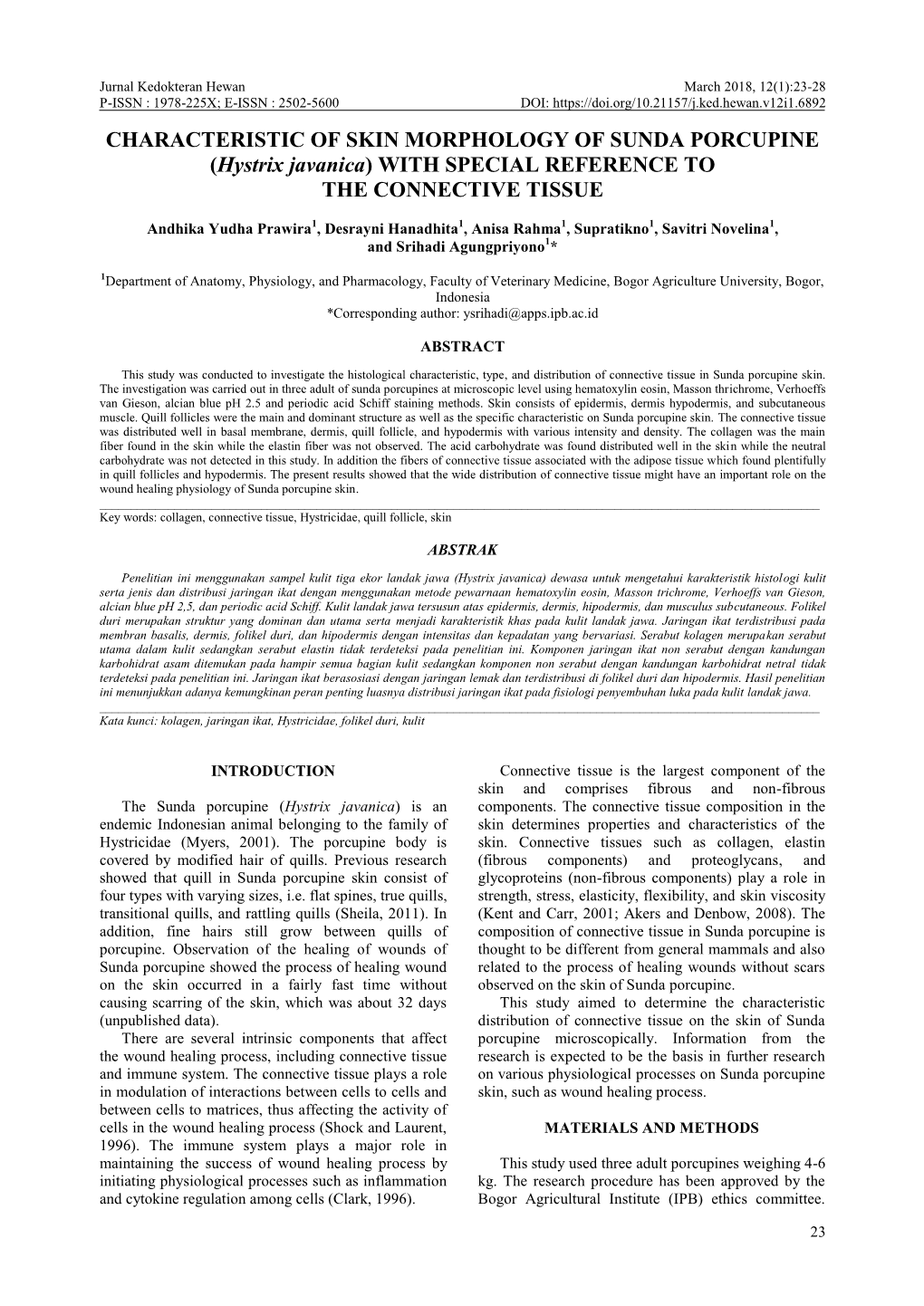 CHARACTERISTIC of SKIN MORPHOLOGY of SUNDA PORCUPINE (Hystrix Javanica) with SPECIAL REFERENCE to the CONNECTIVE TISSUE