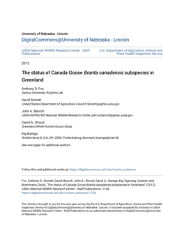 The Status of Canada Goose Branta Canadensis Subspecies in Greenland