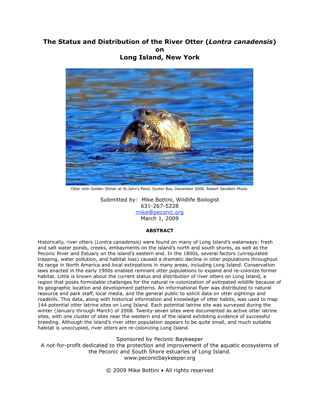 The Status and Distribution of the River Otter (Lontra Canadensis) on Long Island, New York