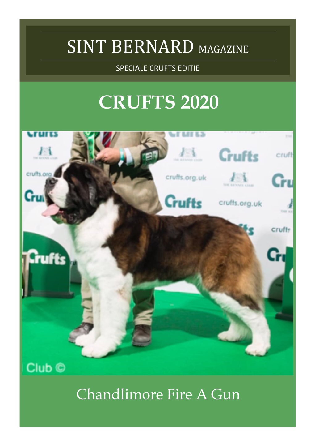 Sint Bernard Magazine Crufts 2020