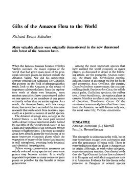 Gifts of the Amazon Flora to the World