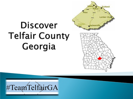 Telfair County Georgia