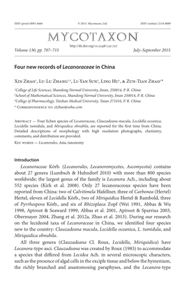 &lt;I&gt;Lecanoraceae&lt;/I&gt; in China