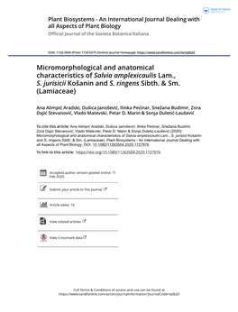 Micromorphological and Anatomical Characteristics of Salvia Amplexicaulis Lam., S