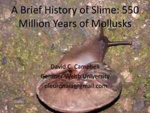 A Brief History of Slime: 550 Million Years of Mollusks