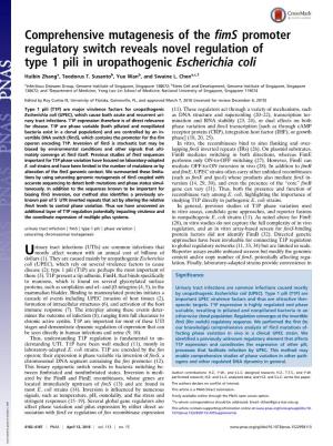Comprehensive Mutagenesis of the Fims Promoter Regulatory Switch Reveals Novel Regulation of Type 1 Pili in Uropathogenic Escherichia Coli