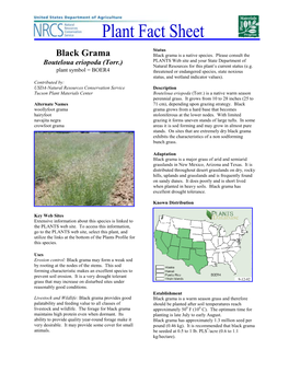 Black Grama Black Grama Is a Native Species