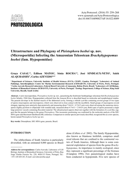 Ultrastructure and Phylogeny of Pleistophora Beebei Sp. Nov