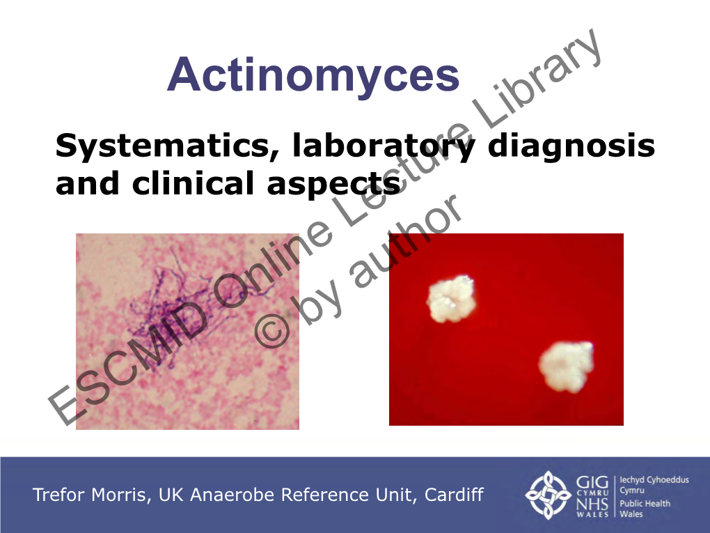 Actinomyces – Problem Or Not?