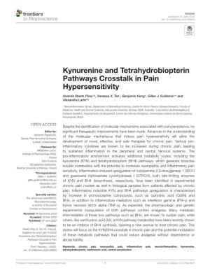 Kynurenine and Tetrahydrobiopterin Pathways Crosstalk in Pain Hypersensitivity
