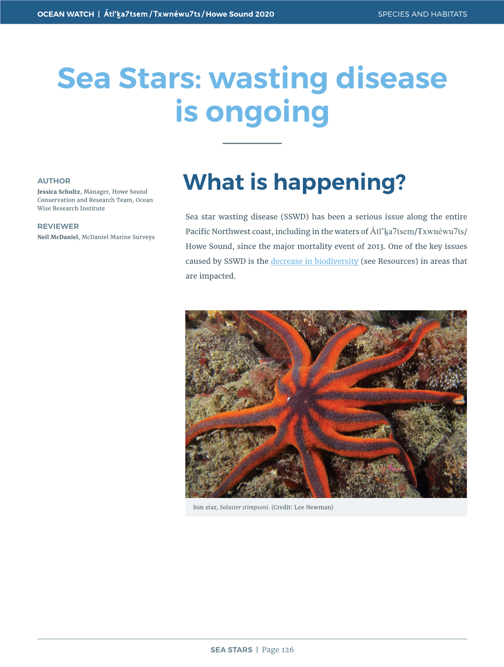 Sea Stars: Wasting Disease Is Ongoing