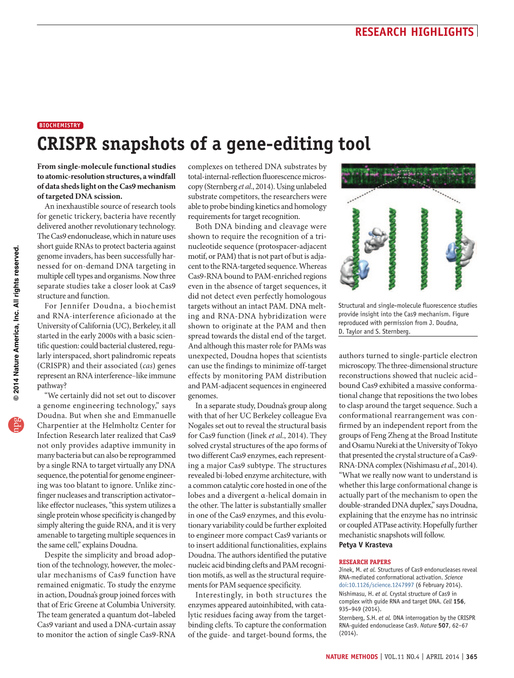 Biochemistry: CRISPR Snapshots of a Gene-Editing Tool