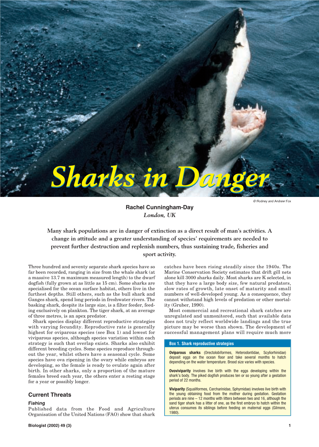 Sharks in Danger