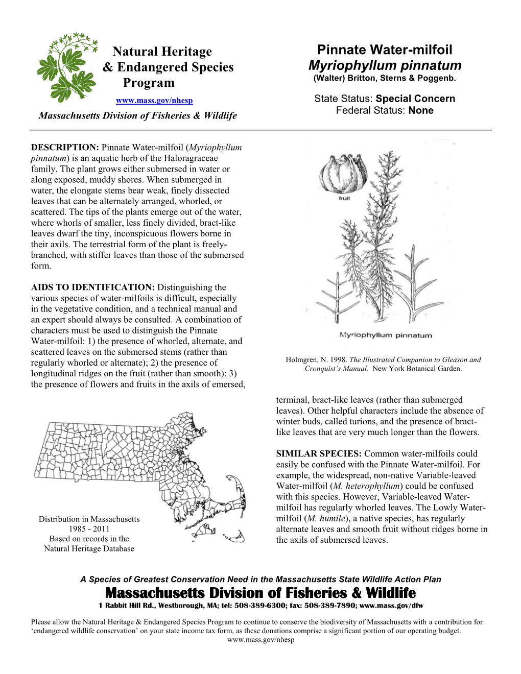 Pinnate Water-Milfoil & Endangered Species Myriophyllum Pinnatum (Walter) Britton, Sterns & Poggenb
