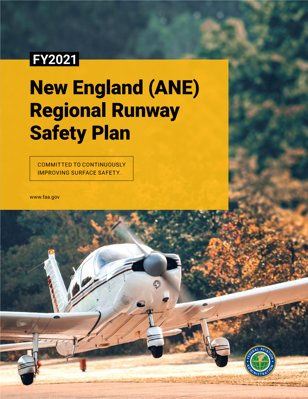 New England Region ( ANE ) Runway Safety Plan