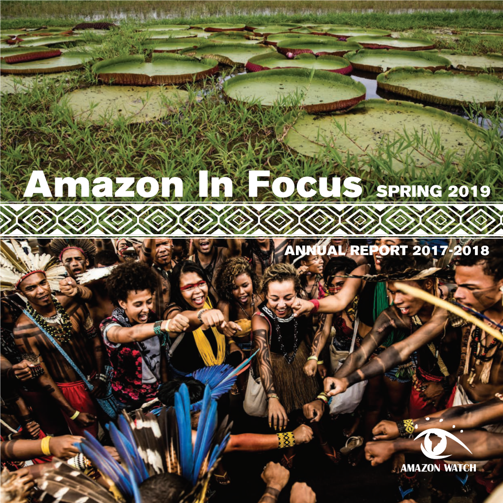 Amazon in Focus SPRING 2019