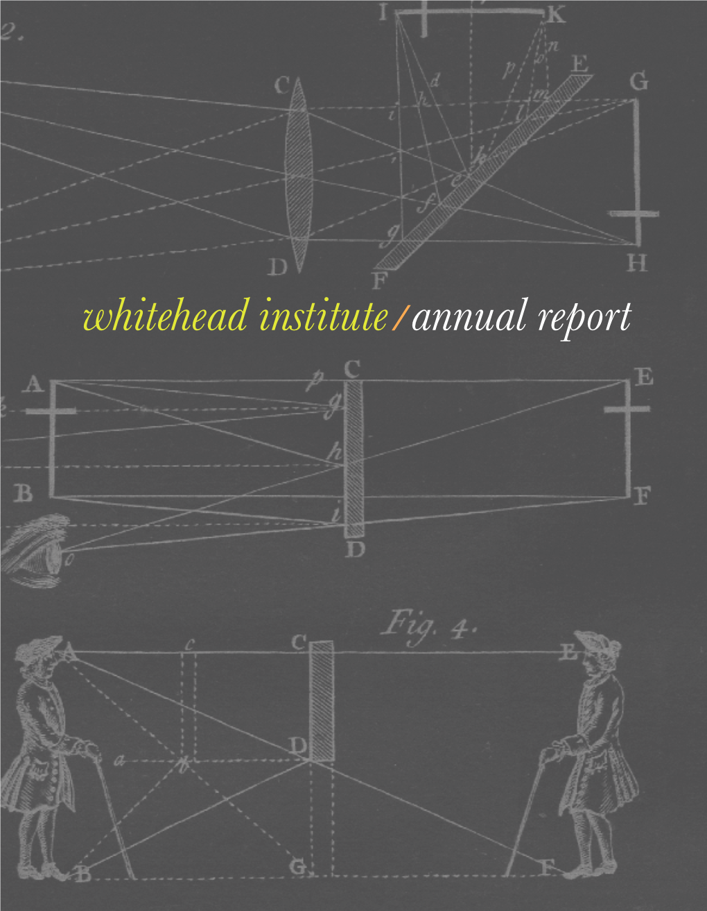 Whitehead Institute/Annual Report Another Angle
