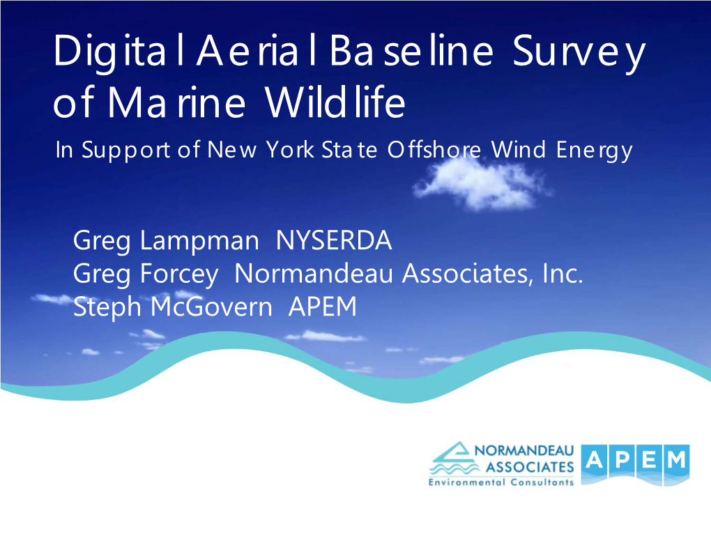 Digital Aerial Baseline Survey of Marine Wildlife: in Support of New