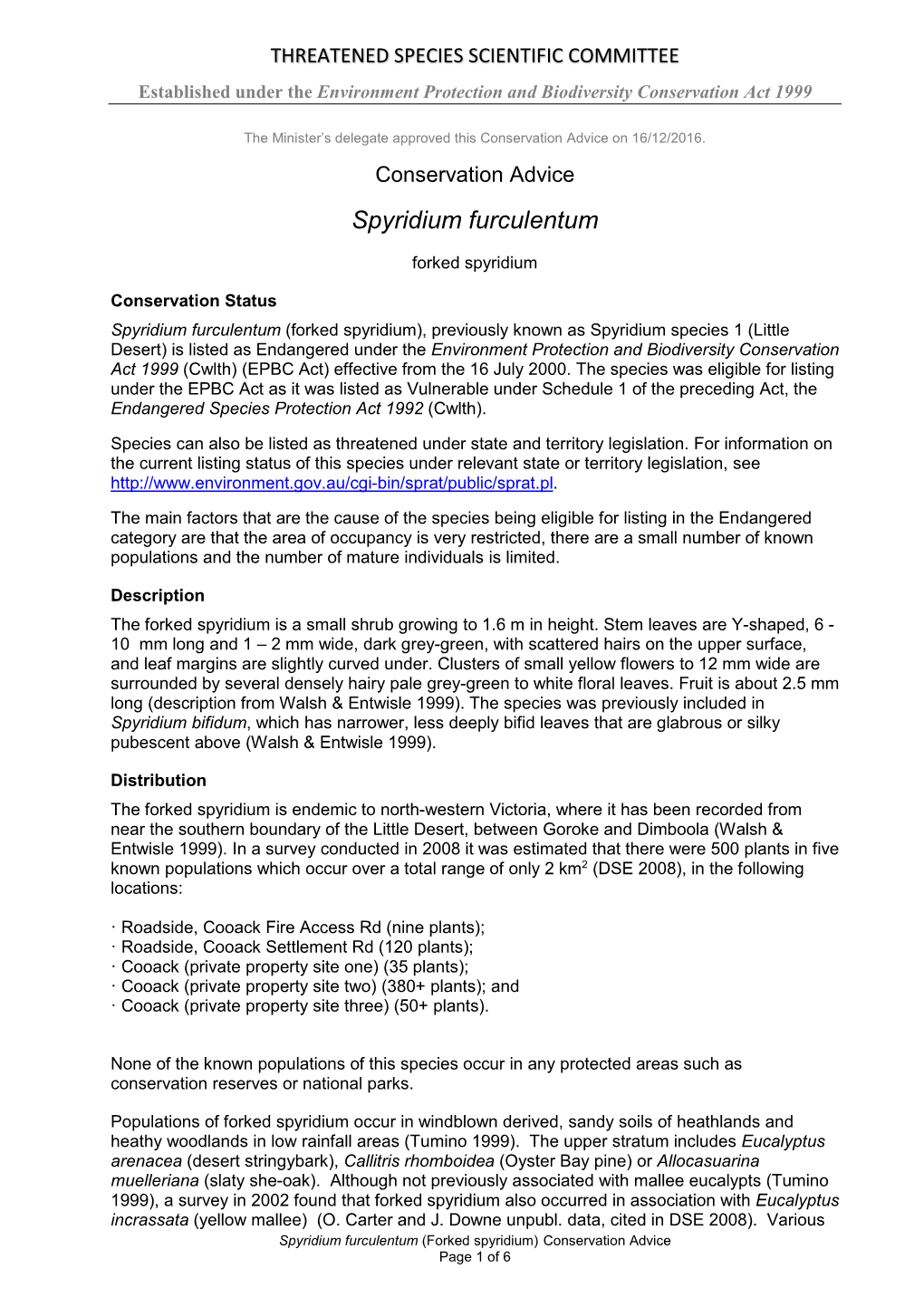 Conservation Advice Spyridium Furculentum Forked Spyridium