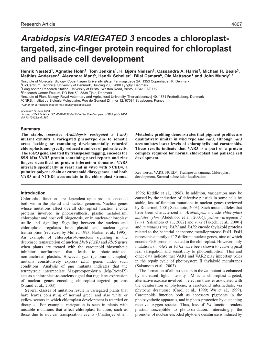 Arabidopsis VARIEGATED 3 Encodes a Chloroplast- Targeted, Zinc-ﬁnger Protein Required for Chloroplast and Palisade Cell Development