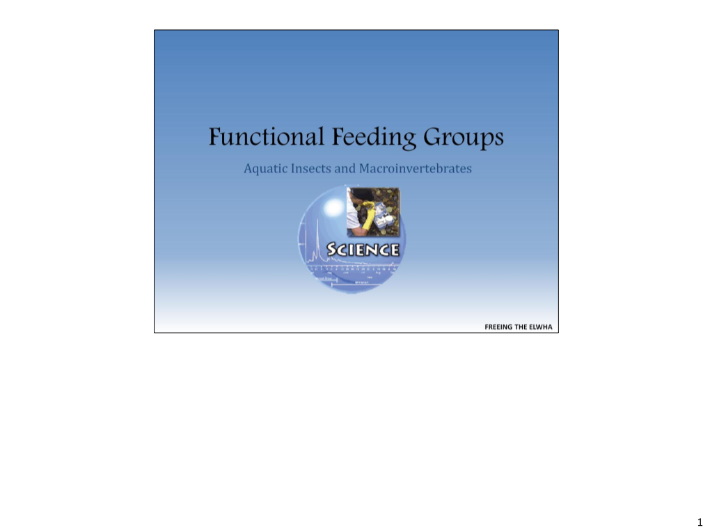 Functional Feeding Groups