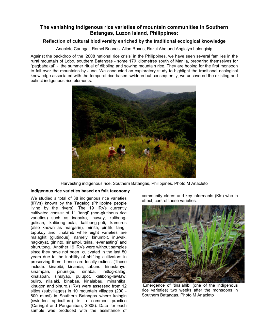 The Vanishing Indigenous Rice Varieties of Mountain Communities