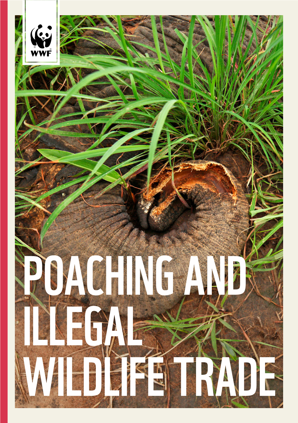 Poaching and Illegal Wildlife Trade