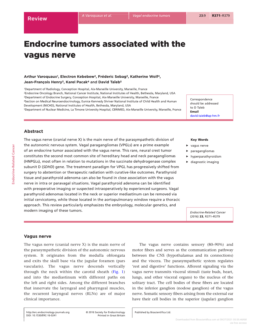Endocrine Tumors Associated with the Vagus Nerve